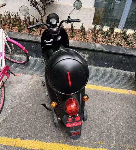 五羊五羊电动车 小龟王高速电摩本田电动摩托...