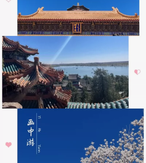 本人双九硕士 本科保研，软件工程/计算机专...