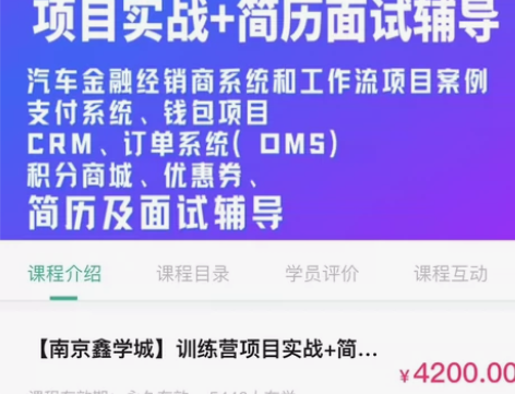 低价出【南京鑫学城】训练营项目实战+简历面...