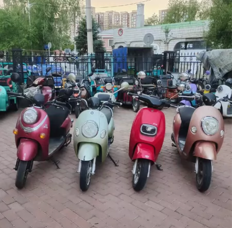 小刀绿源台铃永久品牌电动车 6020电瓶后...