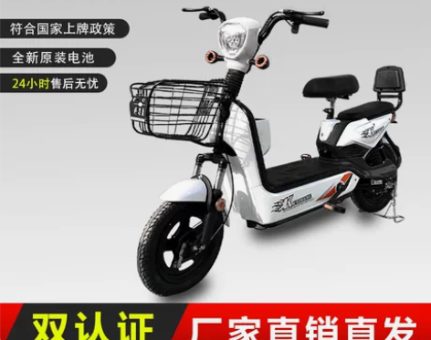 ccc国标可上牌科思康全新正品电瓶车天能超...