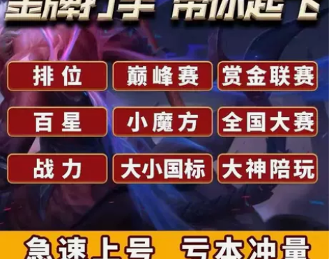 王者荣耀代练排位上分陪玩巅峰赛英雄战力送省...