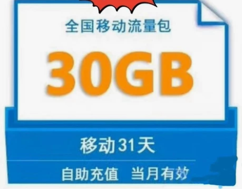 中国移动30G流量包月包 不限地区全国通用...