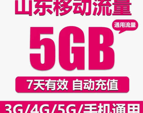 山东移动流量充值5GB全国2G3G4G5G...