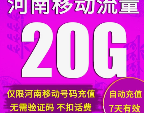 河南移动流量充值20GB全国上网2G3G4...