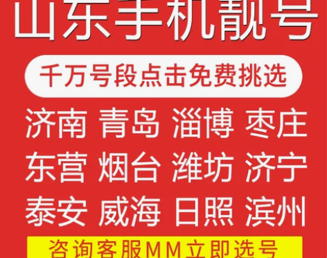 中国移动 全国山东济南青岛淄博威海日照移动...
