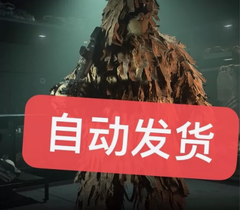 使命召唤吉利服 cod19吉利服 自动发货...