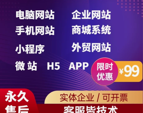 网站网站建设网页设计做网站全包公司官网定制...