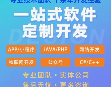 软件开发定制小程序JAVA/PHP/C/安...