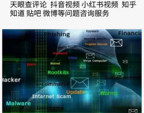 新浪黑猫今日头条互联网信息抖音视频网上网