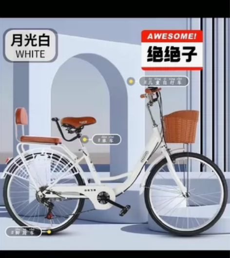 【实体撤柜不做了  低价出】高品质全新飞鸽...