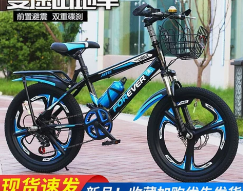 上海永久儿童自行车8-15岁中大童山地车男...