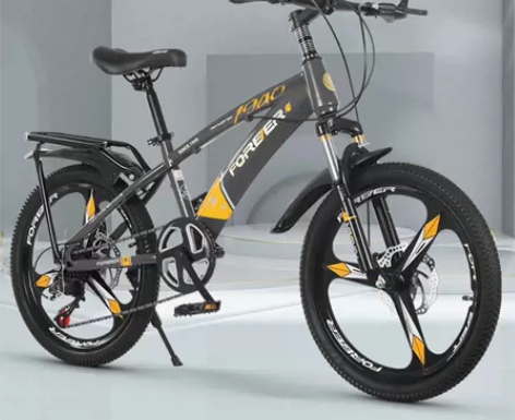 全新组装好的永久自行车，18寸，组装好以后...