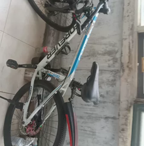 永久自行车 感兴趣的话点“我想要”和我私聊吧~轻微使用痕... 永久自行车 感兴趣的话点“我想要”和我私聊吧~轻微使用痕...