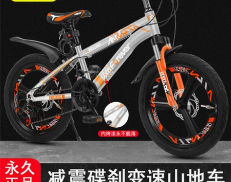 永久儿童自行车男孩中大童小女孩学生脚踏车减...