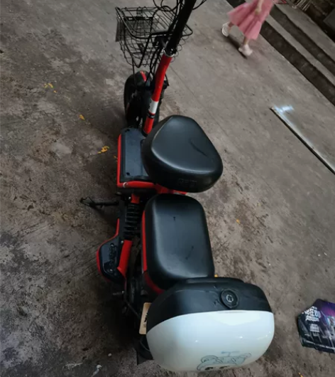 新日小乐士新国标电动自行车,2019年6月...