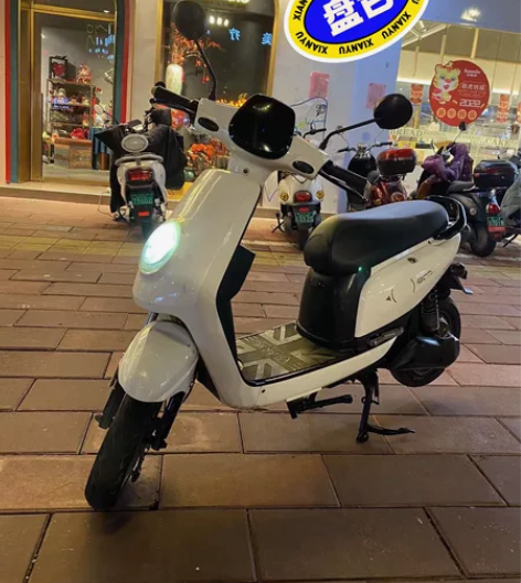 大品牌（新日）龟车 5个大电池 续航50公...