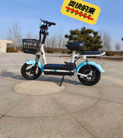 电动车新国标电动车成人电动自行车男女式中 ...