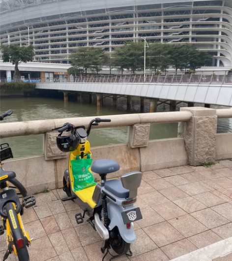 绿源电动车 liva 5 电压：48v  ...