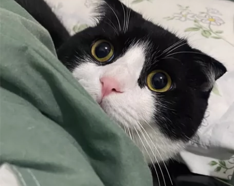 西湖区上门喂养 坐标：有赞办公楼个人经验介...