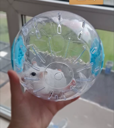 仓鼠跑球玩具跑轮滚轮金丝熊运动球支架鼠用品...