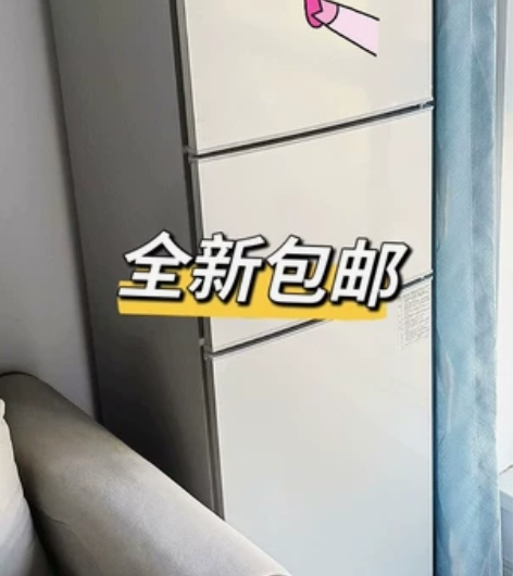 冰箱一级能效家用小型迷你双门冷藏冷冻出租房...