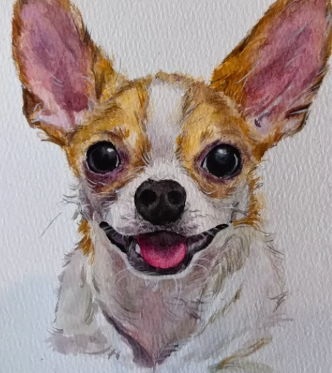 手绘宠物头像定制，水彩手绘来图定制。详情私...