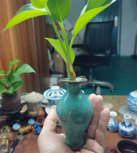 淘了一个小花瓶，应该是窑变炉鈞釉吧，看着好...