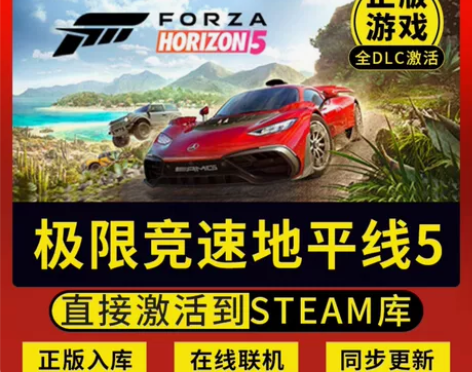 地平线5  正版游戏激活码  也有4 直接...