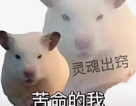 【光遇国服耳坠鸟】断圣岛预言半，新季节进度...