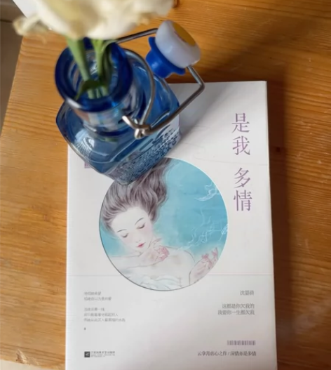 是我多情，青春文学，畅销小说 深情亦是多情...