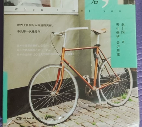 《懂事之前，情动以后》芈十四著 青春文学 ...