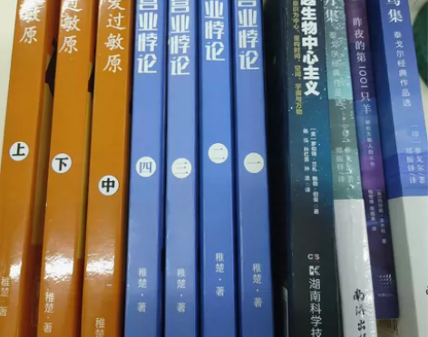 出闲置小说 青春/文学/小说 《可爱过敏源...