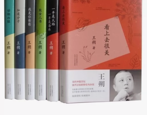 王朔著随笔小说集一半是火焰一半是海水知道分...