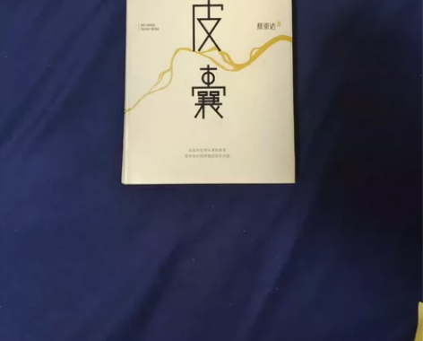 皮囊 蔡崇达作品 中国现当代随笔小说长篇散...