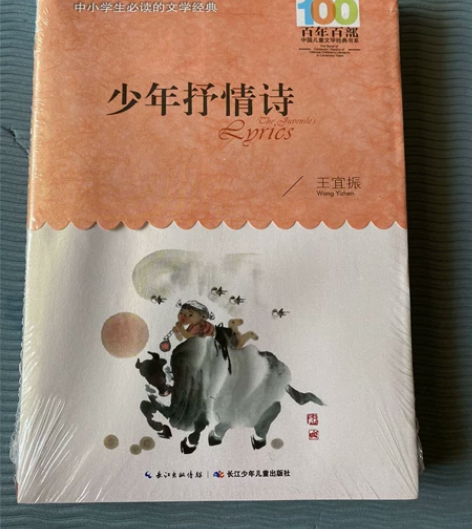 百年百部，中国儿童文学经典书系 少年抒情诗...
