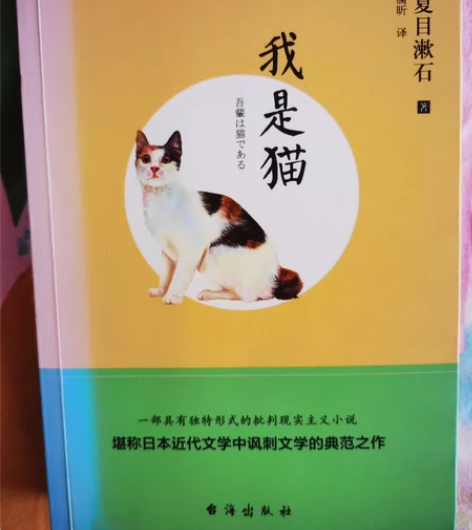 外国文学小说 感兴趣的话点“我想要”和我私...