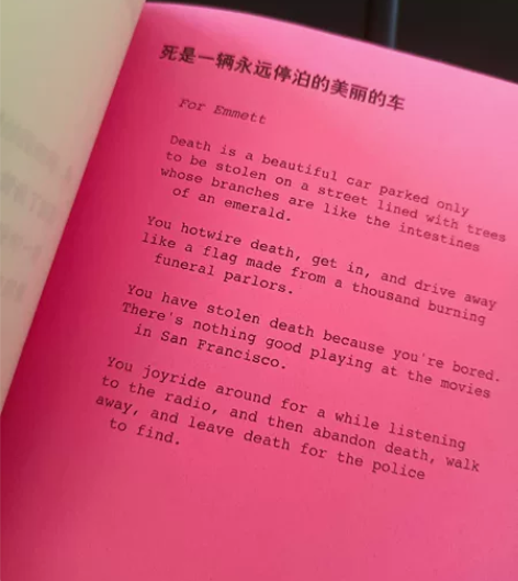 布劳提根诗集 全新25.9出 王尔德莎乐美...