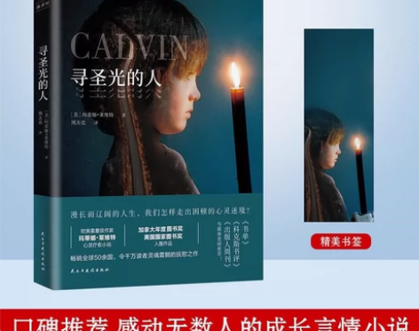 言情成长小说寻圣光的人青春文学治愈系冒险甜...