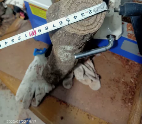 鹰果木，可做珠子，手把件，雕刻，偏远地区运...