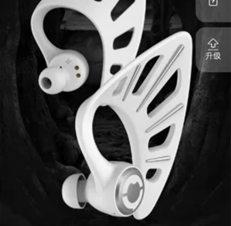 收妖舞精灵耳机右耳，价格200左右 感兴趣...