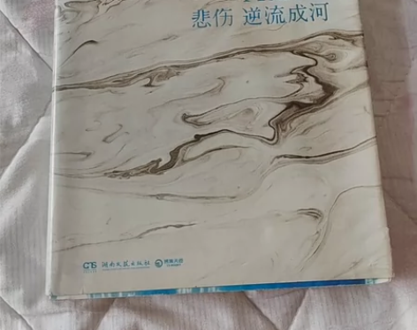 《悲伤逆流成河》郭敬明原著同名电影电视剧易...