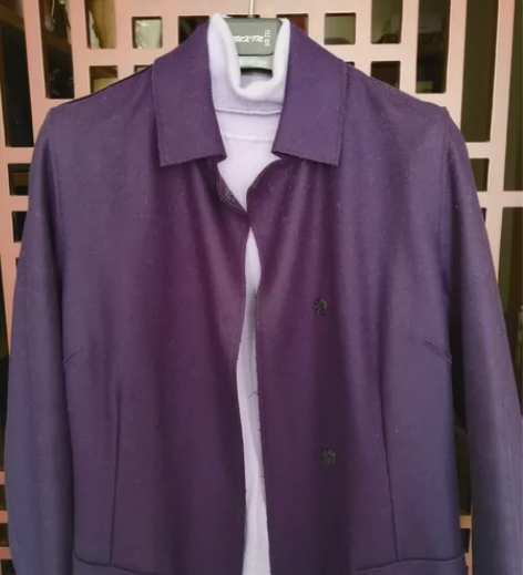 琼瑶小说中【穿紫衣的女人】 紫色大衣 小方...