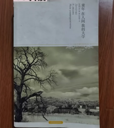 转卖闲置书（上面写过本人名字） 价格都标在...