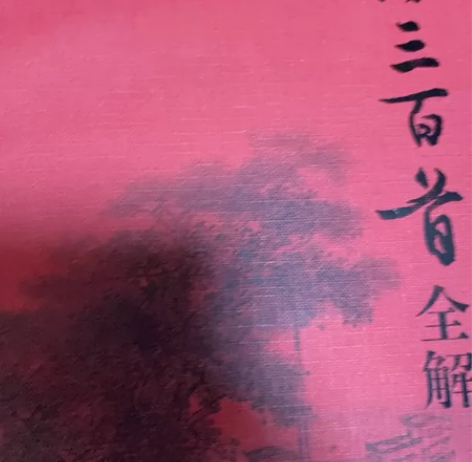 唐诗三百首，宋词三百首宋词三百首全解 感兴...