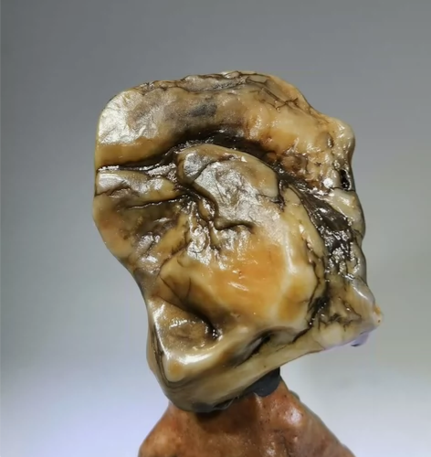 《呐喊》头像艺术 尺寸/规格6.8*6.2...