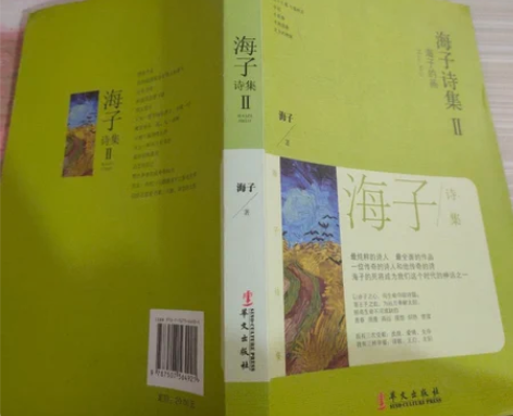 正版二手 海子诗集II（海子的画） 海子，...
