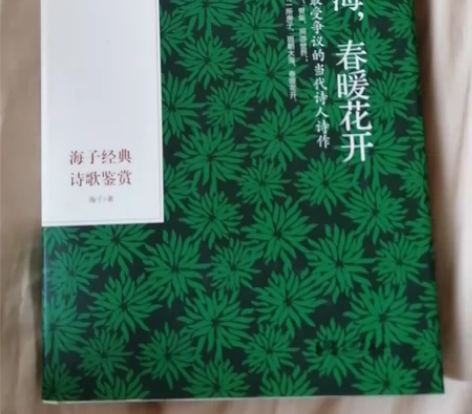 #出闲置图书 面朝大海春暖花开 海子经典诗...