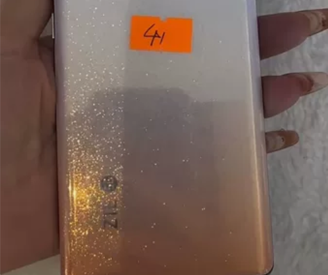 中兴 Axon 40Pro 8256 完美...