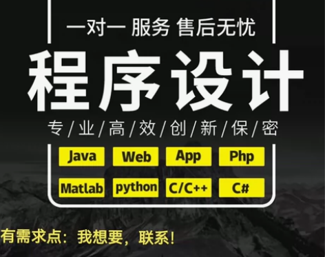 程序代编，代码代做，c++代码，c语言，p...